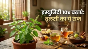 तुलसी के घरेलू नुस्खे और फायदे – इम्यूनिटी बढ़ाने के आयुर्वेदिक उपाय